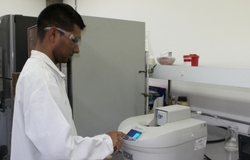 Producción científica