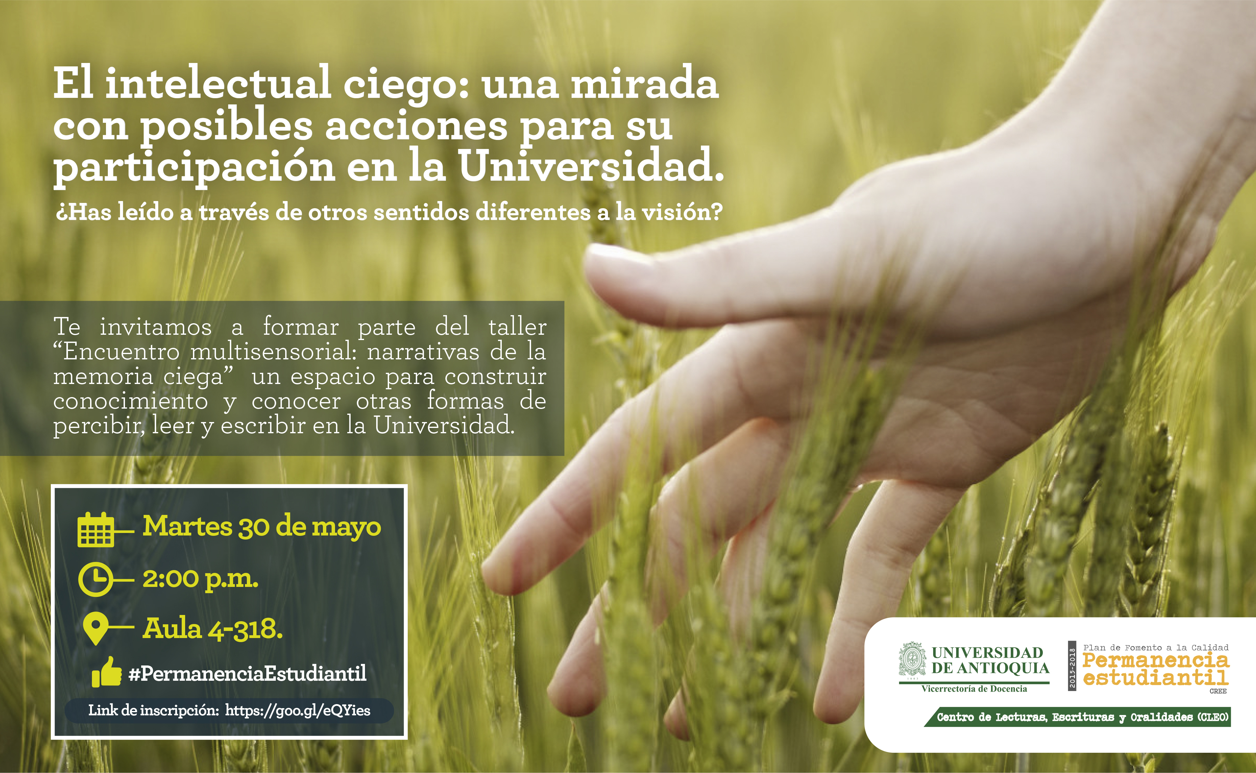 mano en campo de trigo mano en campo de trigo