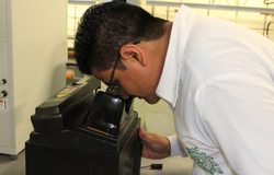 Producción científica