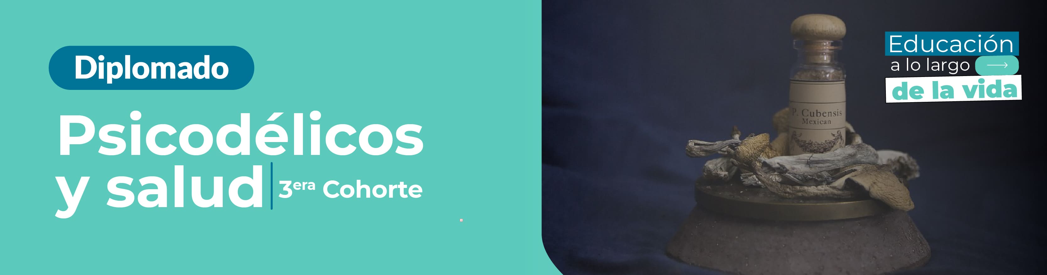 33 Talleres de Arte y Cultura para el Bienestar