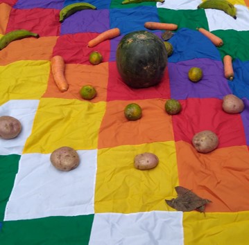 mándala realizado con vegetales sobre bandera indígena.
