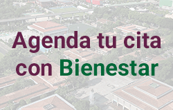 Inscripciones