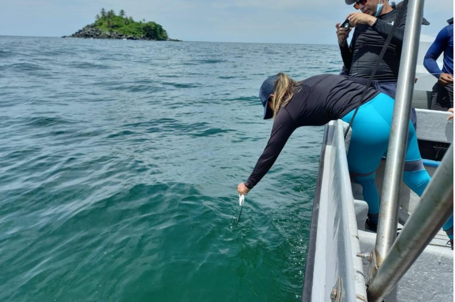 Un hombre con una tabla de surf en el agua

El contenido generado por IA puede ser incorrecto.