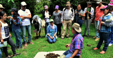 Inscríbete al programa de Pedagogía en Ruralidad y Paz