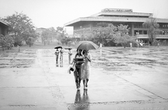 Memoria Viva UdeA: Archivo Fotográfico