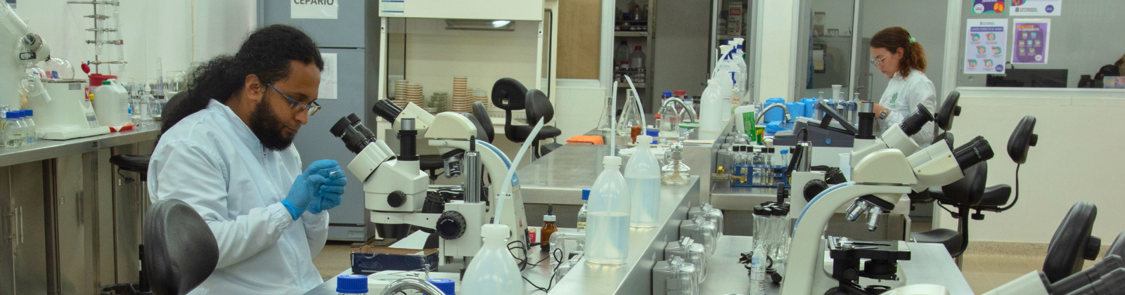 Dos personas realizando prácticas en un laboratorio