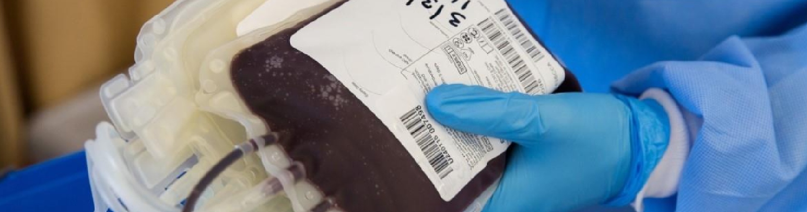 Stem cell donation in Colombia: safe, essential, and still challenging