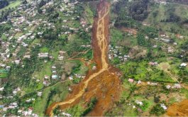 Con investigación genética, estudiante UdeA contribuye a la conservación del tití cabeciblanco