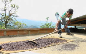 Imagen: Feria Camino a la UdeA Caucasia