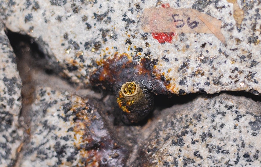 A close-up of a rock

AI-generated content may be incorrect., Imagen