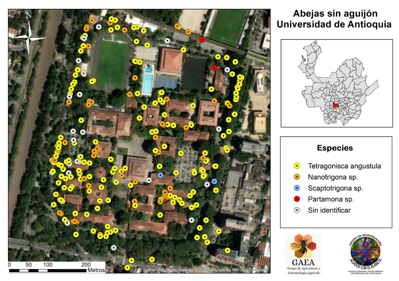 A map of a university

AI-generated content may be incorrect., Imagen