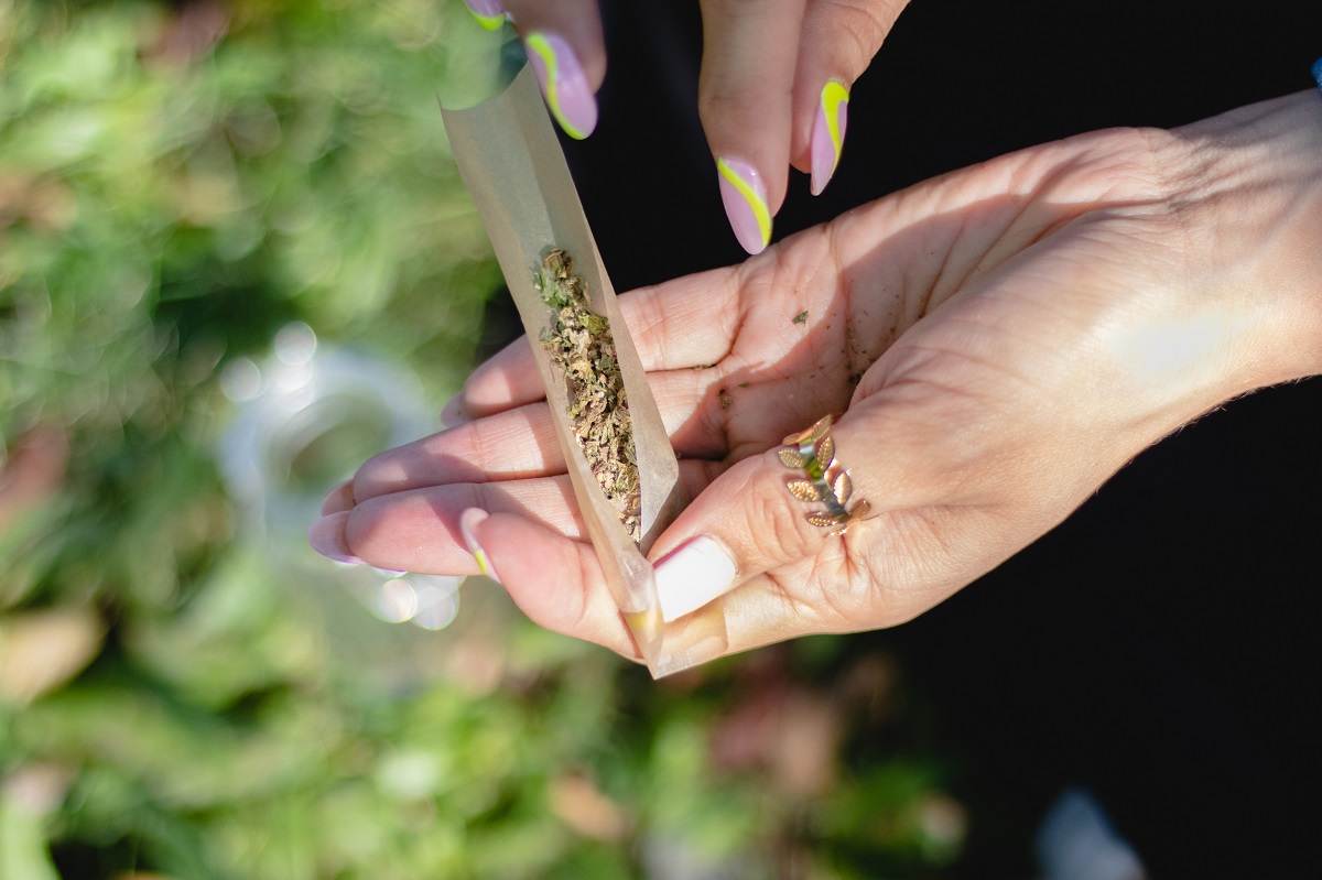 Persona prepara un cigarrillo de marihuana