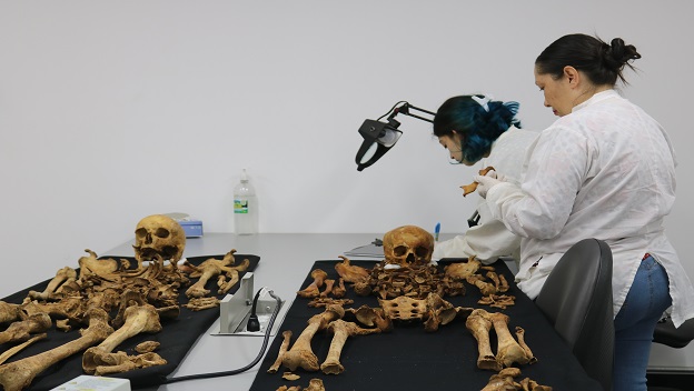 Estudiantes analizando restos óseos