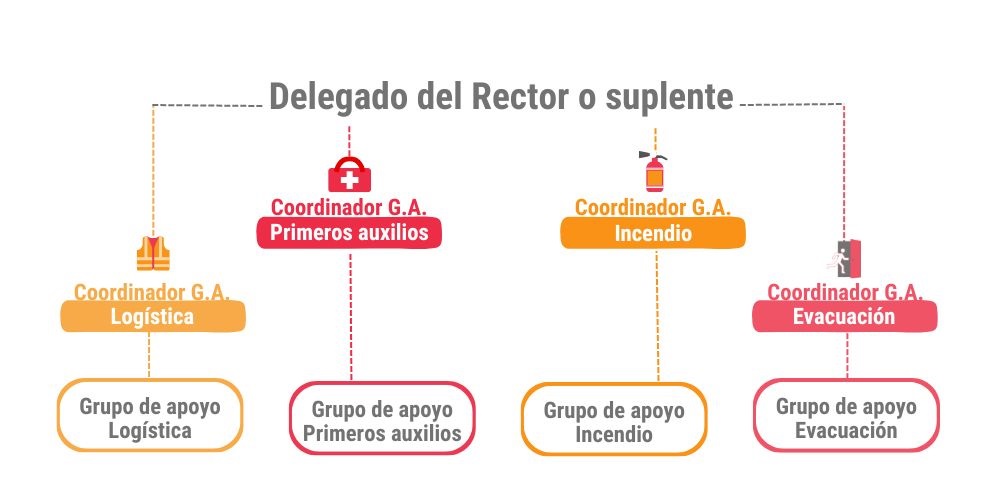 La estructura de los Comités de Emergencia está conformada así: Delegado del Rector o suplente Coordinadores G. A. de: Logística, Primeros auxilios, Incendio y Evacuación, más los grupos de apoyo para cada coordinación.