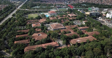 udea