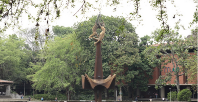 trabajos de grado