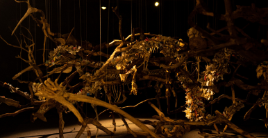 Inscríbete en los Cursos de Extensión del MUUA