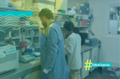 científicos realizando estudios en el laboratorio