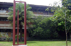 Producción científica