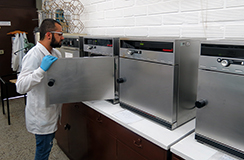 Producción científica