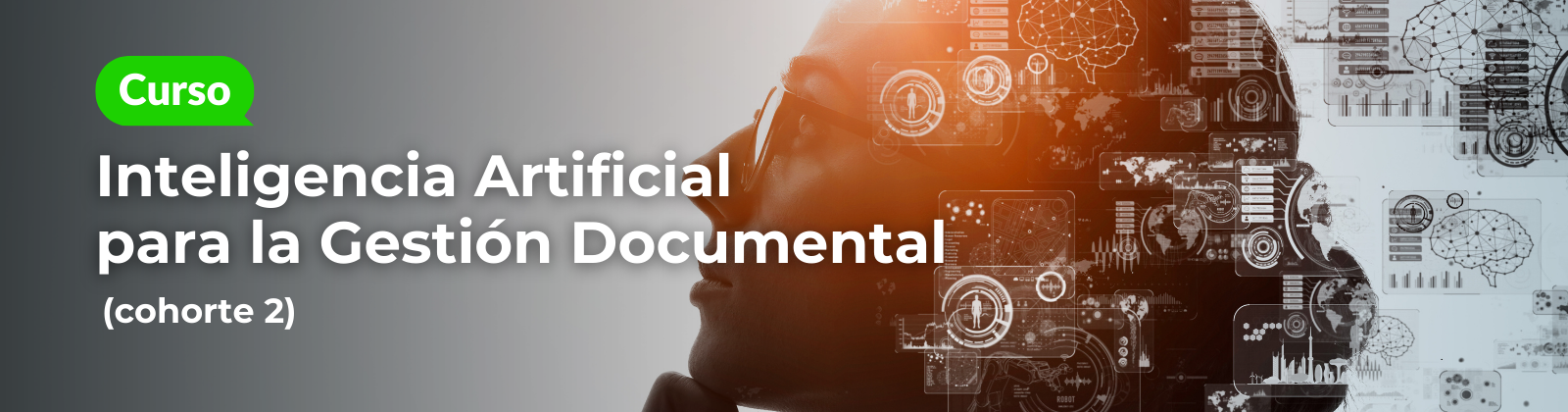 Curso inteligencia artificial para la gestión documental