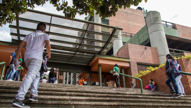 Con investigación genética, estudiante UdeA contribuye a la conservación del tití cabeciblanco