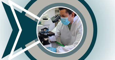 Producción científica