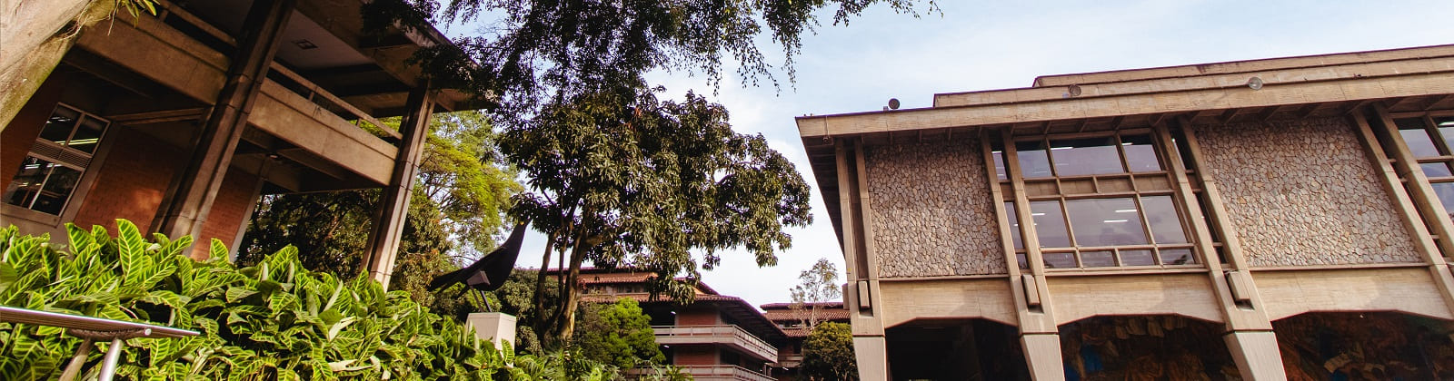 Fotografía del Bloque 16, la obra "Maria Mulata" y la Biblioteca Carlos Gaviria Díaz.
