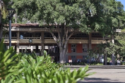 Fotografía del bloque 16 de la UdeA