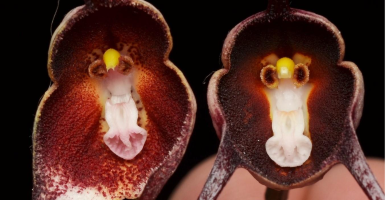 Two UdeA professors are members of the Intergovernmental Panel on Climate Change