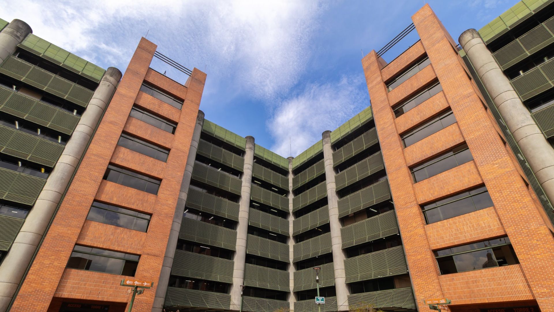 Con investigación genética, estudiante UdeA contribuye a la conservación del tití cabeciblanco