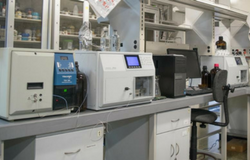 Producción científica