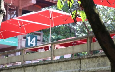 Foto de estudiantes de la FDCP de la UdeA