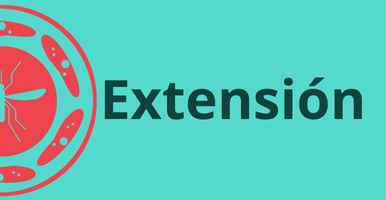 extension