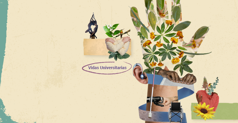 vidas universitarias discas