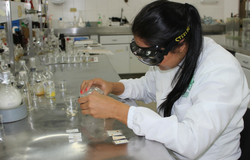 Proyectos