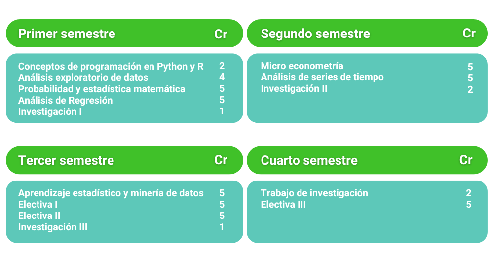 El programa ofrece una formación integral en programación en Python y R, análisis de datos, estadística, econometría, y minería de datos, culminando en un trabajo de investigación.