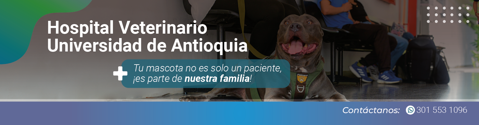 Hospital veterinario udea
