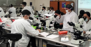 Colección de Microorganismos