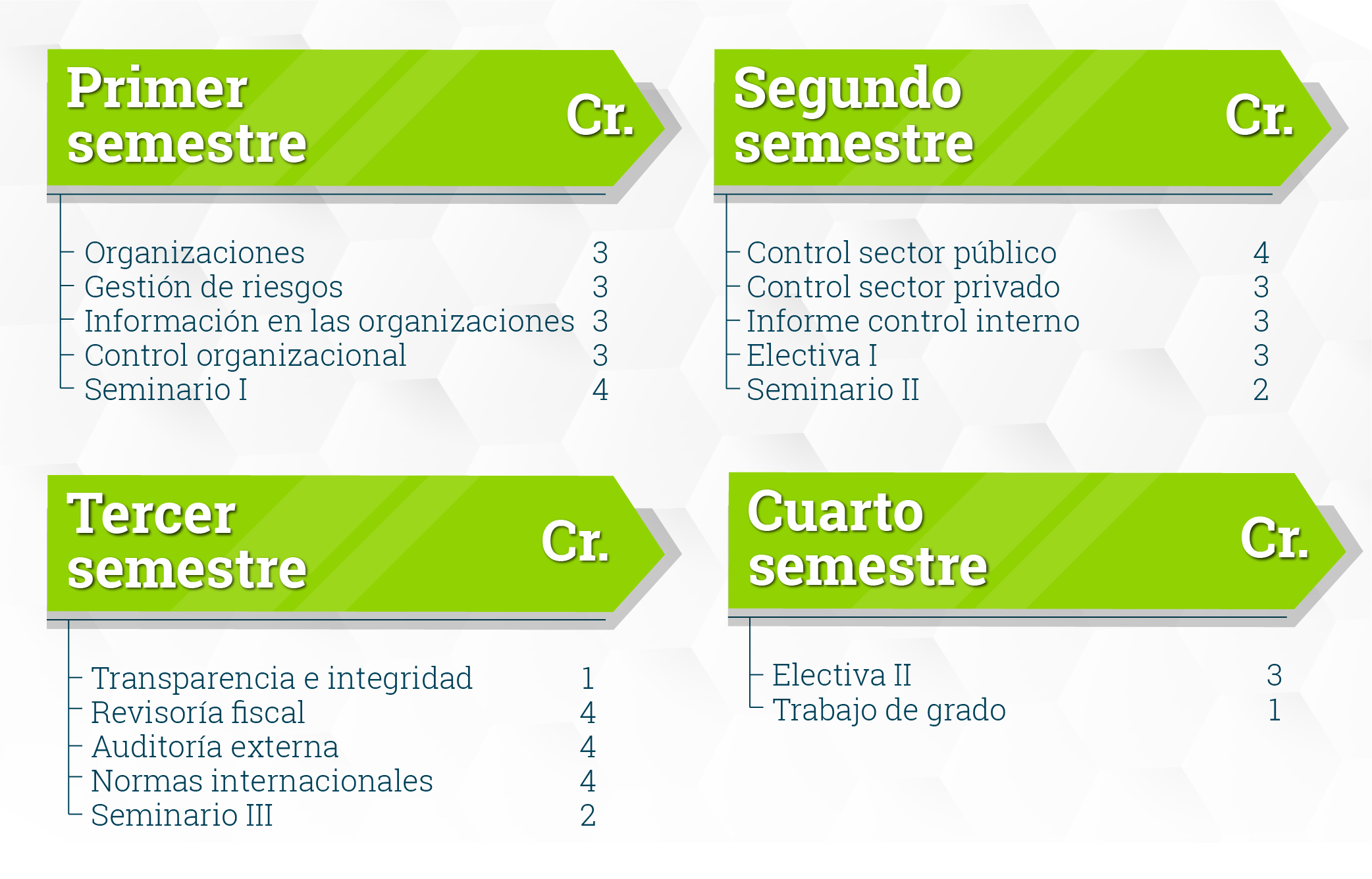 plan de estudios maestria en control organizacional