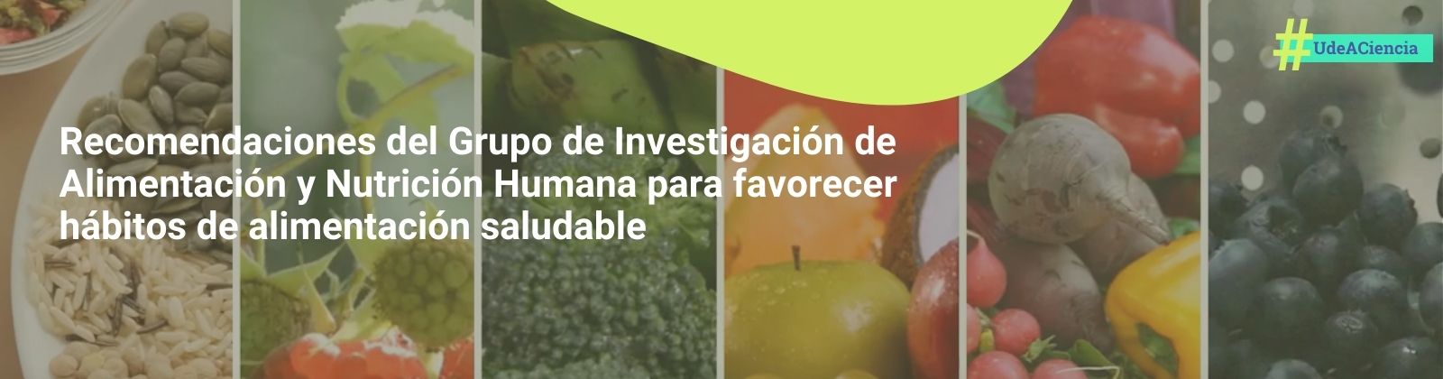 variedad de alimentos frutas y verturas