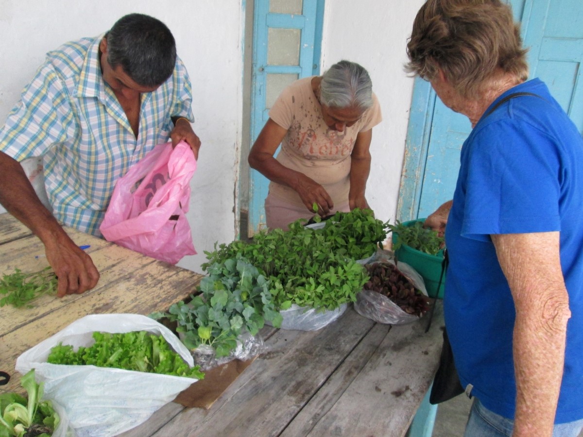 Farmer agro-family gardens