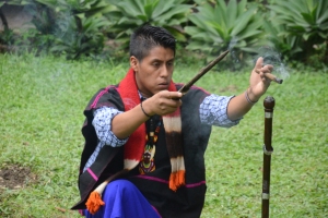 Imagen representativa del programa