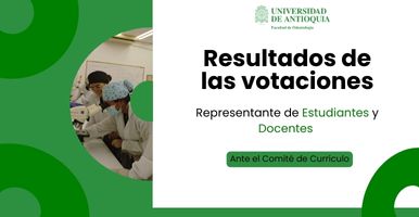 Planchas comité de currículo