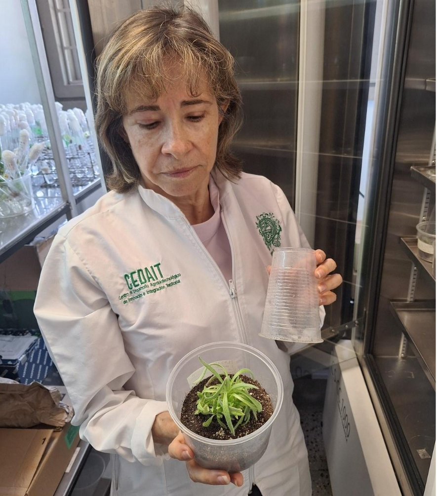 Mujer parada en la cocina

El contenido generado por IA puede ser incorrecto.