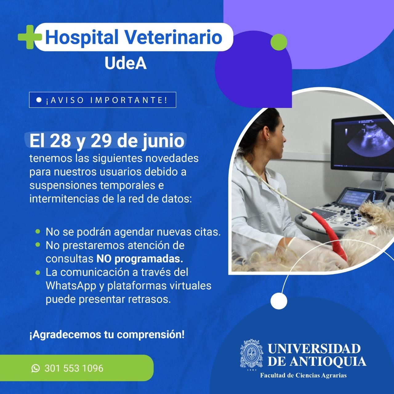 Información importante 28 y 29 de julio hospital veterinario