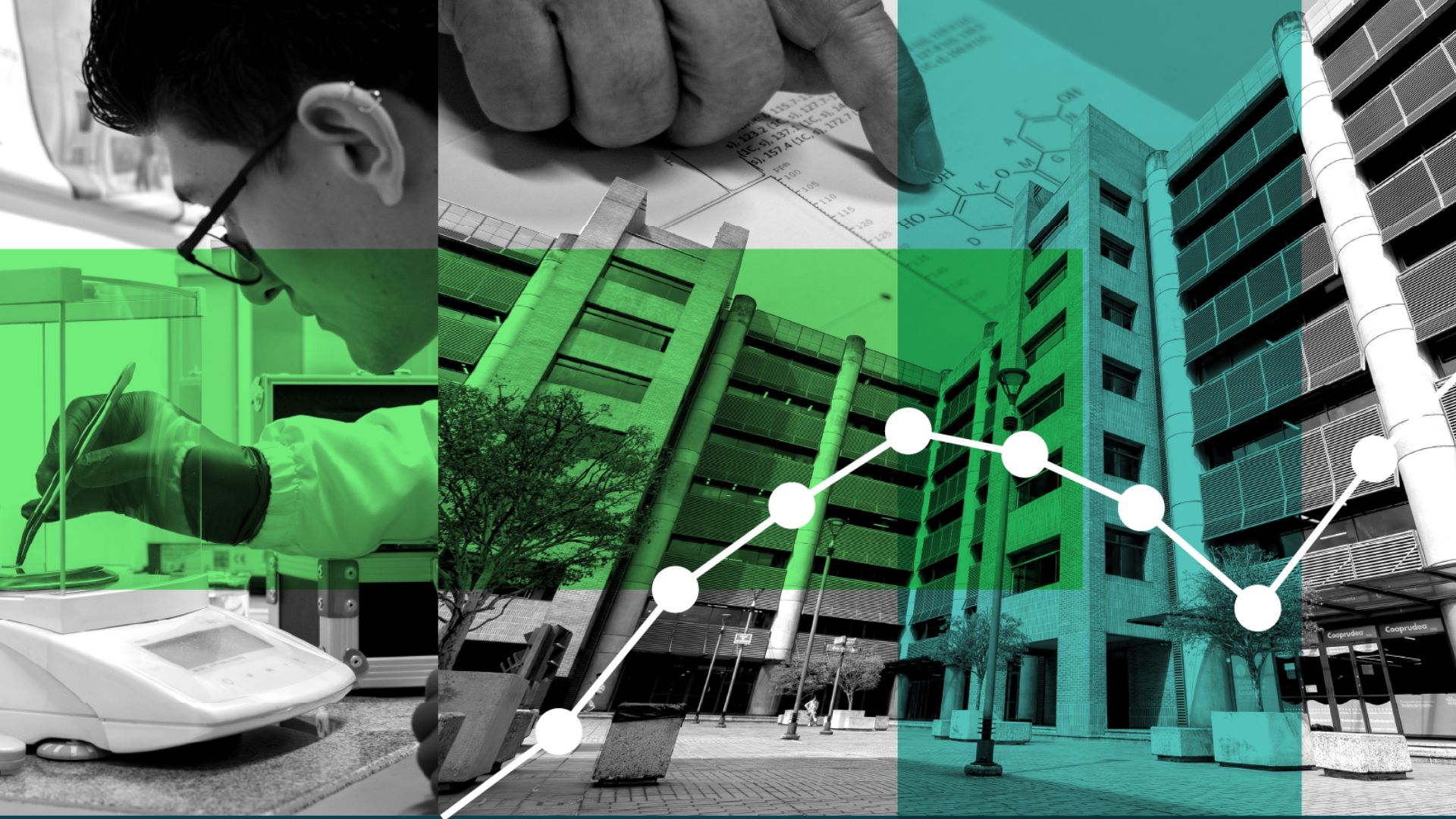 Con investigación genética, estudiante UdeA contribuye a la conservación del tití cabeciblanco