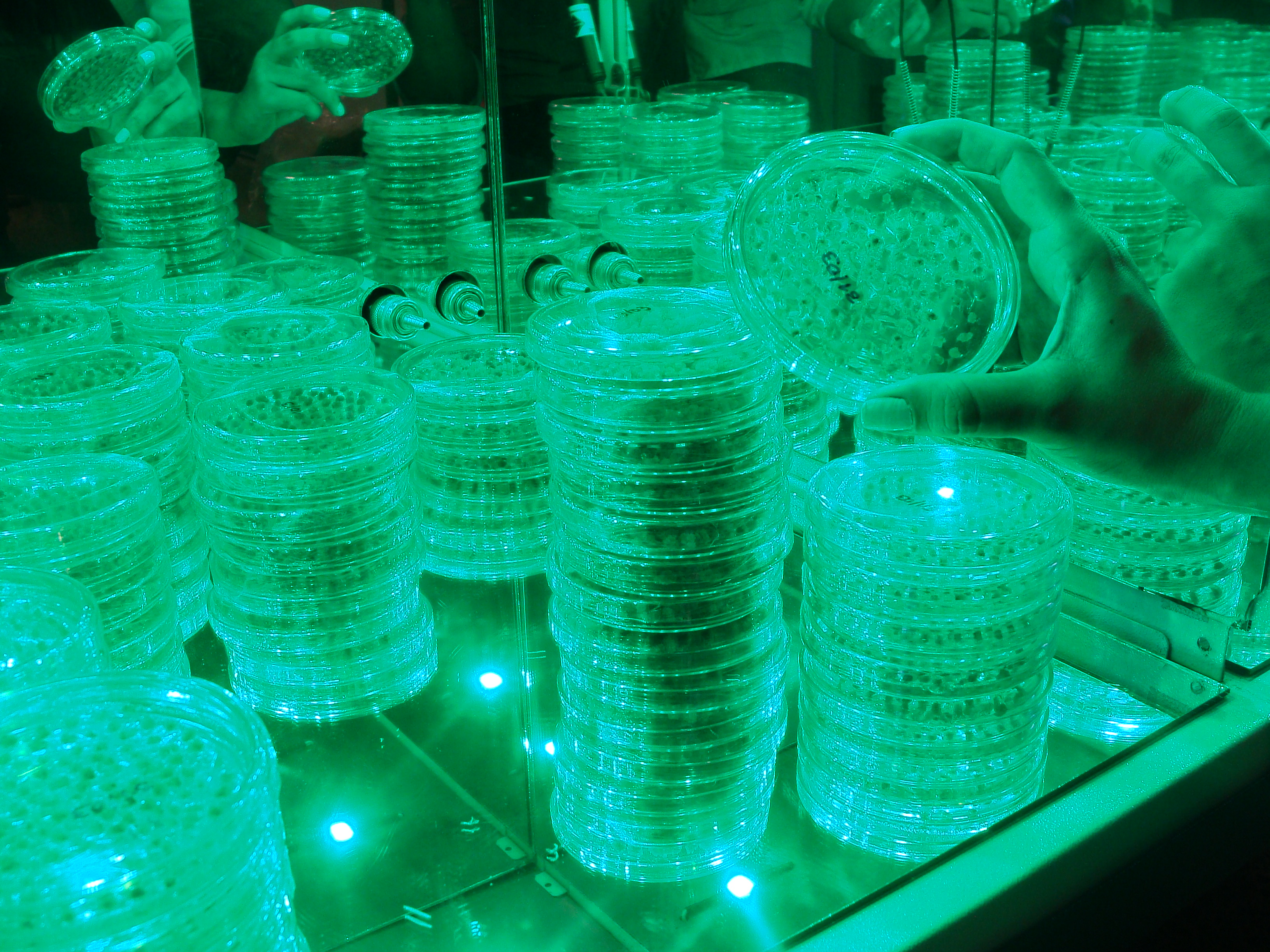 Videos de interés y noticias