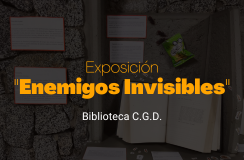 Exposicion: Un maestro de España en America