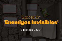 Exposición: Representaciones Fluidas